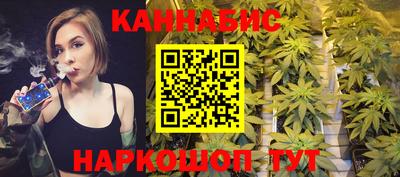 гашик Дубна