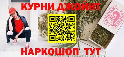 гашик Дубна