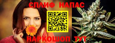 гашик Дубна