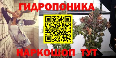 сатива Донецк