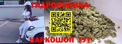 гашик Дубна