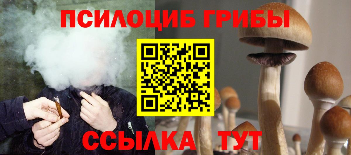 Мичуринск  Псилоцибиновые грибы Psilocybine cubensis  Псилоцибиновые грибы Psilocybe  Вход с VPN 